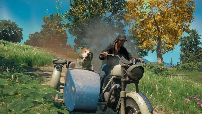 Far Cry New Dawn Timber
