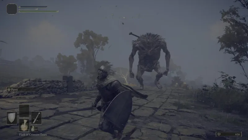 Elden Ring On Switch 2 – The Worst Way To Play The Best Game | New Gameplay Today
