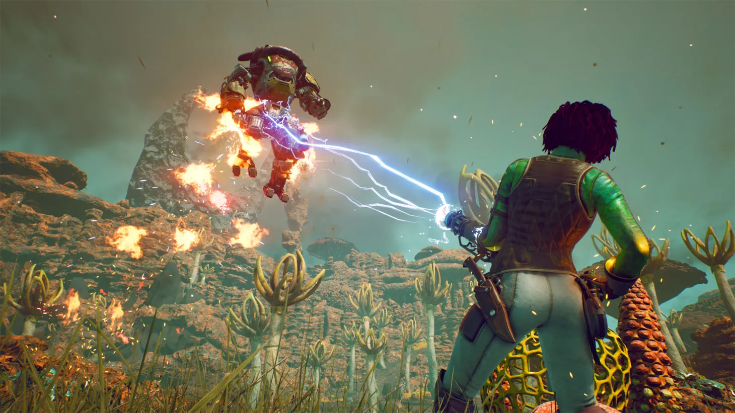 Meet Nyoka, Your New Companion