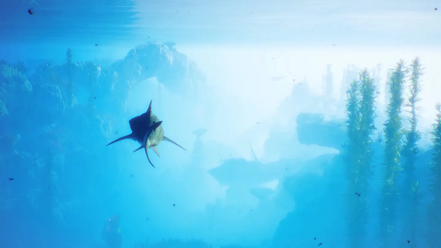 Check Out Maneater In A Slew Of New Videos