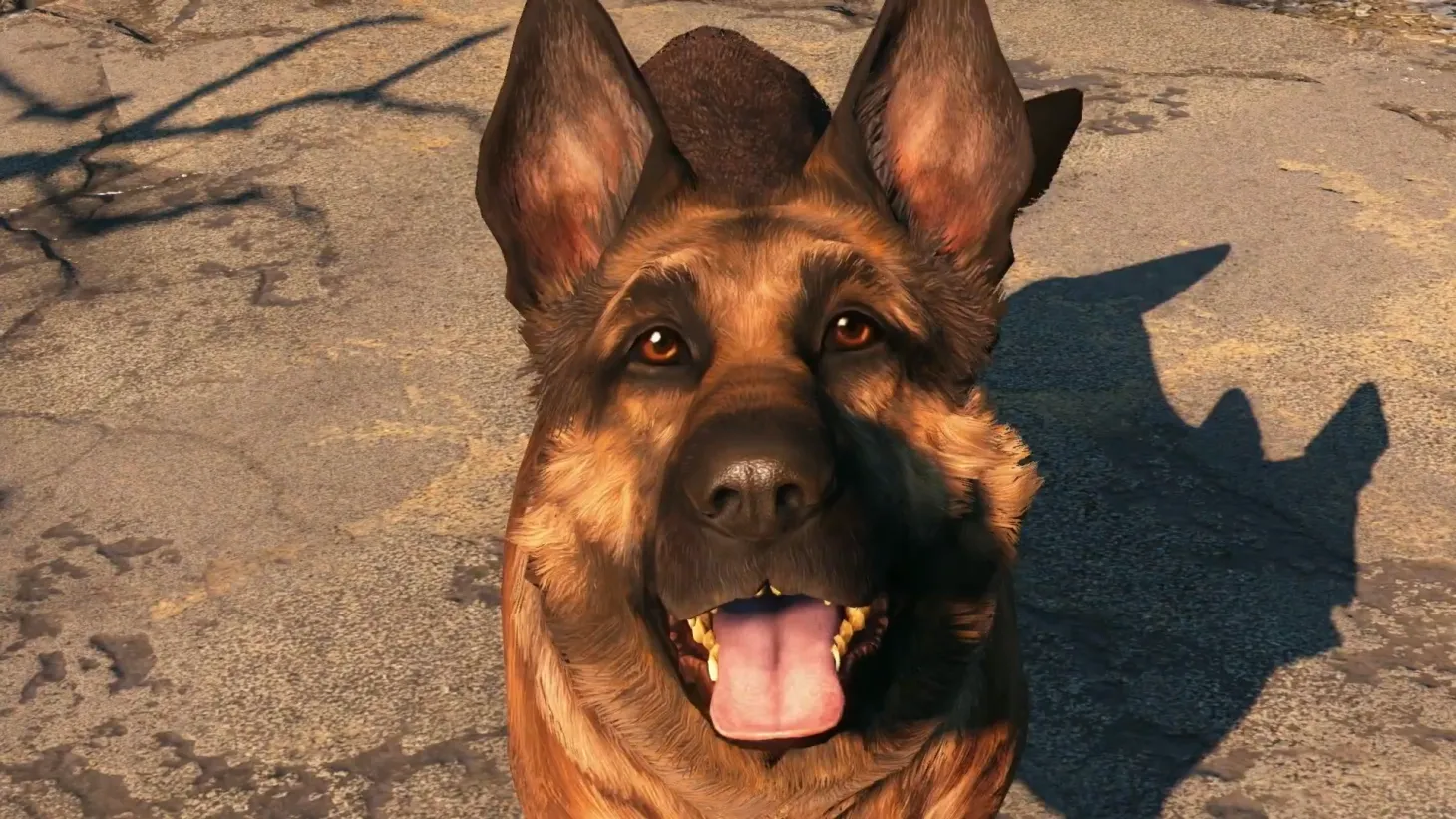 An Ode To Fallout 4's Dogmeat After Real Life Dog Inspiration Named River Passes Away 