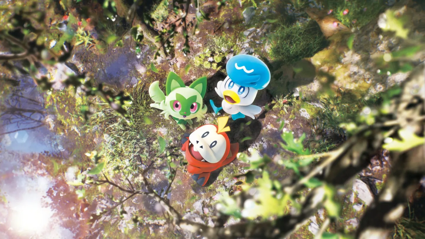 Pokémon Trading Card Game