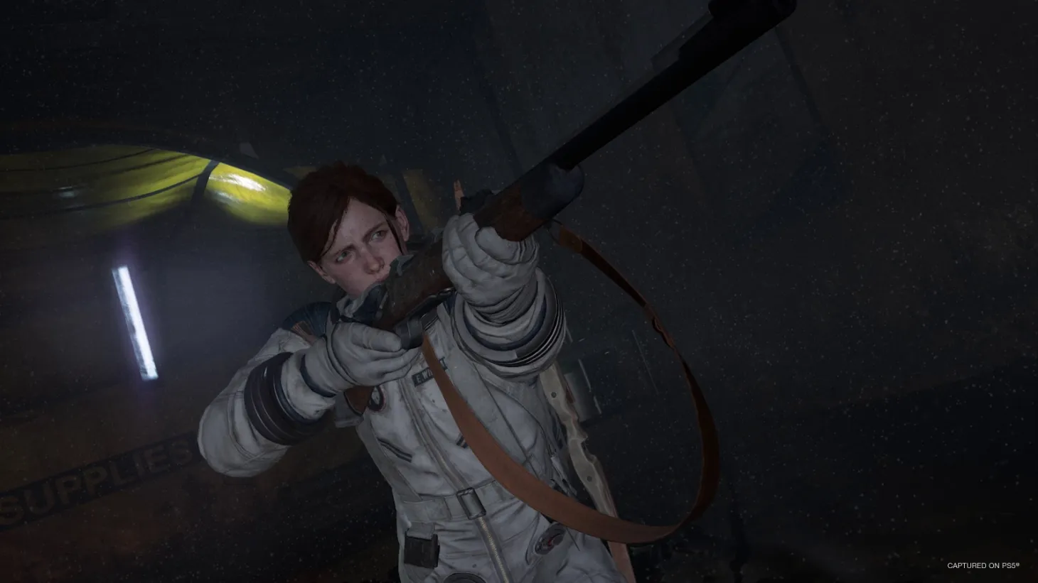 The Last of Us Part II Remasterd No Return