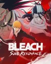 Bleach: Soul Resonance