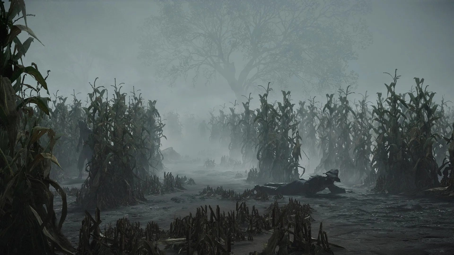 Fog provides a new time of day option alongside night and day.