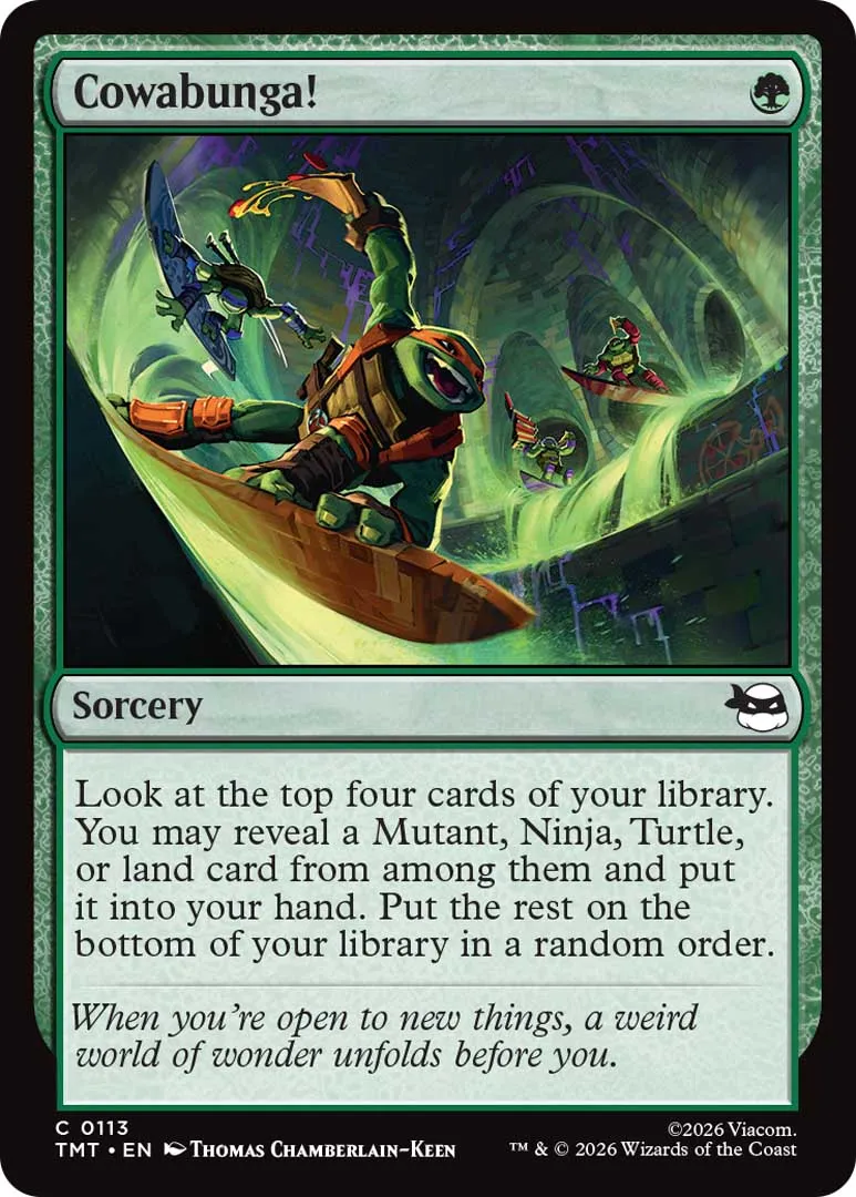 Magic the Gathering Teenage Mutant Ninja Turtles TMNT Set Commander Arena Standard