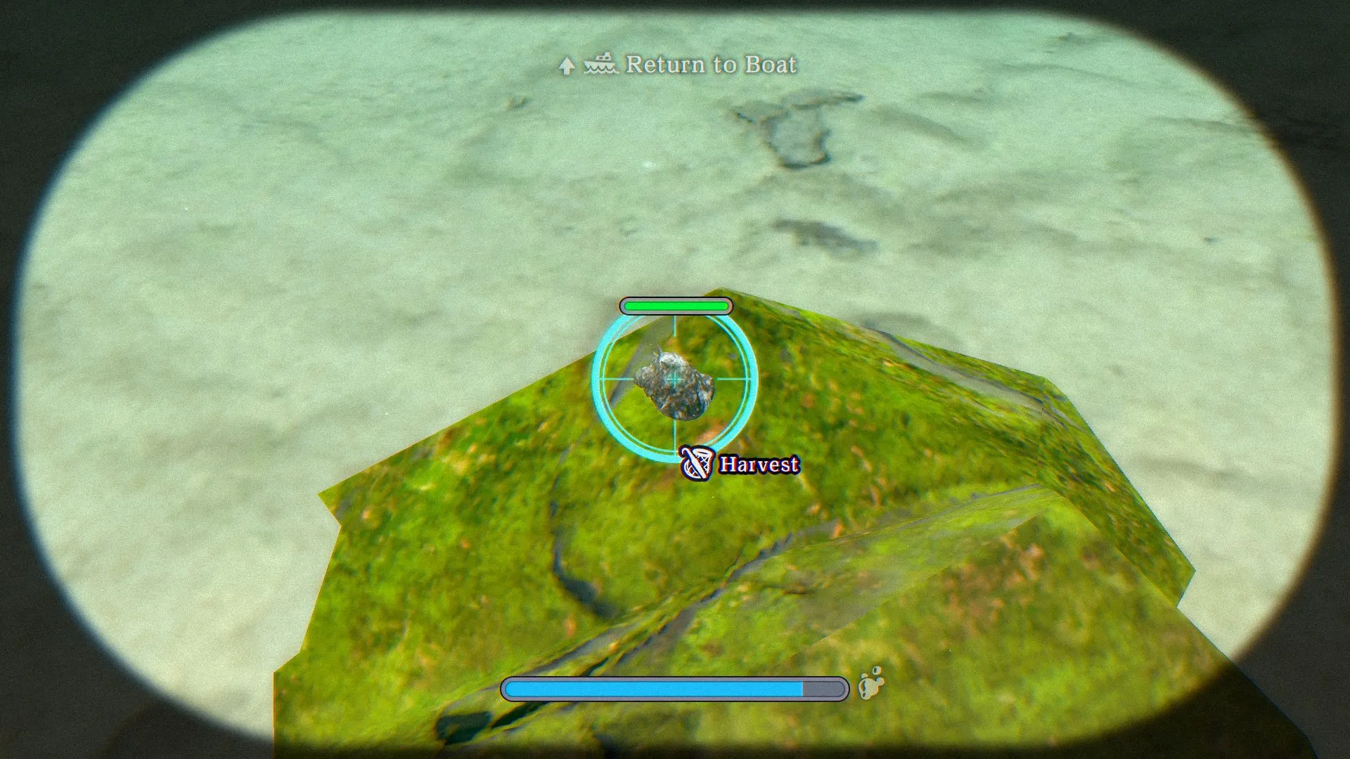 A Spine-Tingling Dive