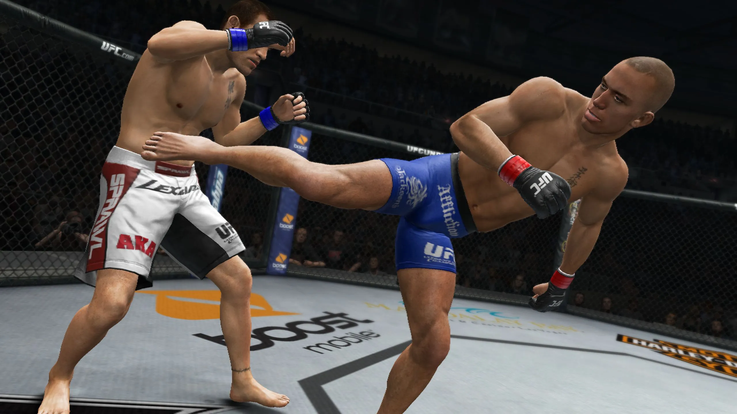 UFC Undisputed 3 Welterweights List