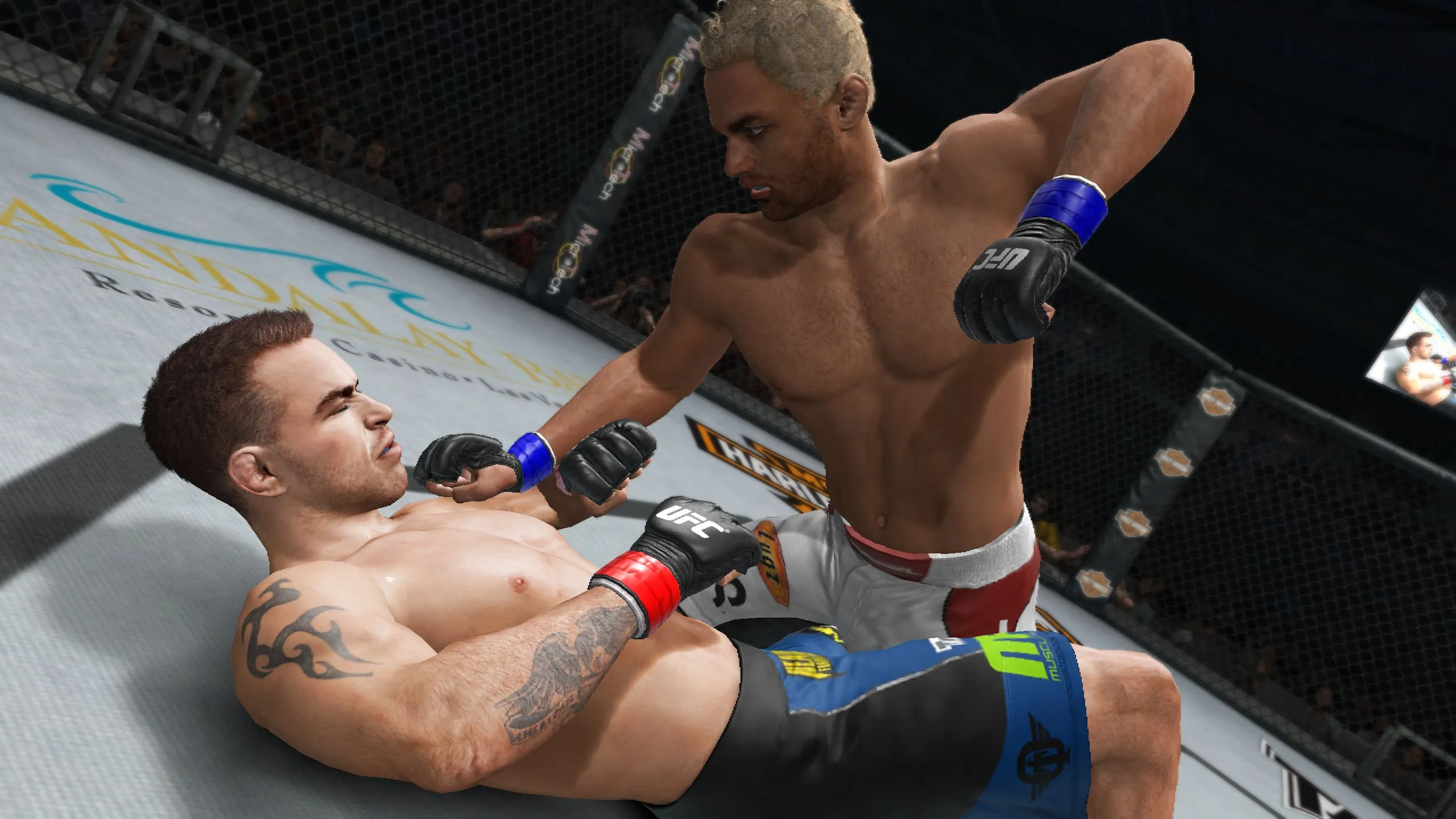 UFC Undisputed 3 Welterweights List