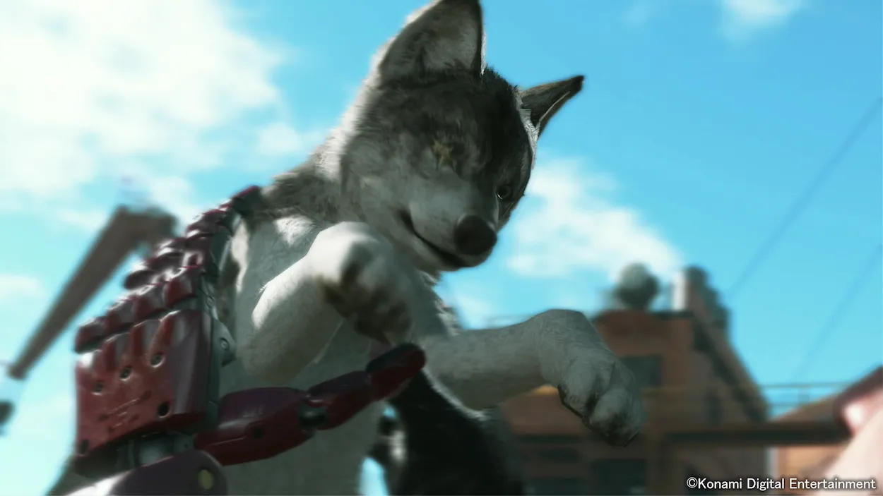 Meet Big Boss' Eye-Patch Wearing Dog In New Screens