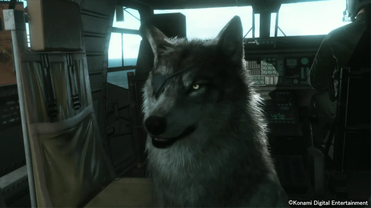 Meet Big Boss' Eye-Patch Wearing Dog In New Screens