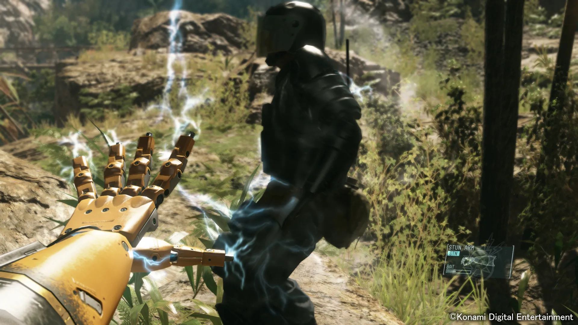 What Is The Buddy System?