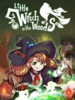 Little Witch in the Woodscover