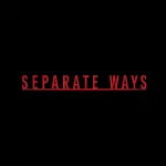 Resident Evil 4 Separate Ways DLCcover