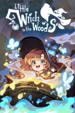 Little Witch in the Woodscover