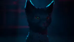 Search