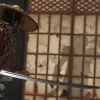 Ghost of Tsushima Movie Director Gives Update On The Film’s Status