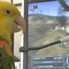 Game Informer